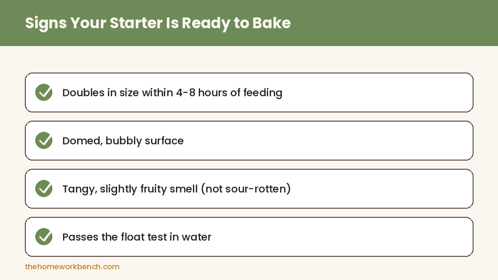 Four signs that indicate a sourdough starter is ready to bake with